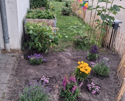 sommer2613