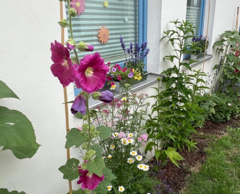 sommer262