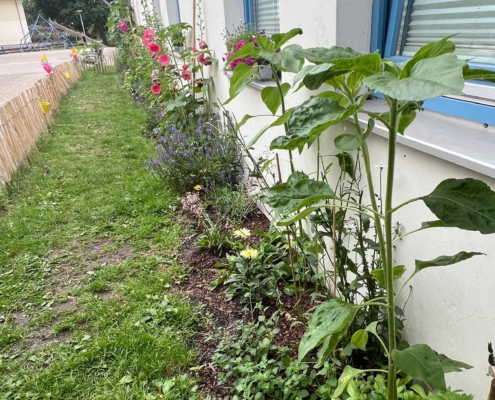 sommer263