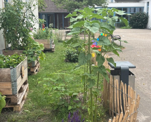 sommer269